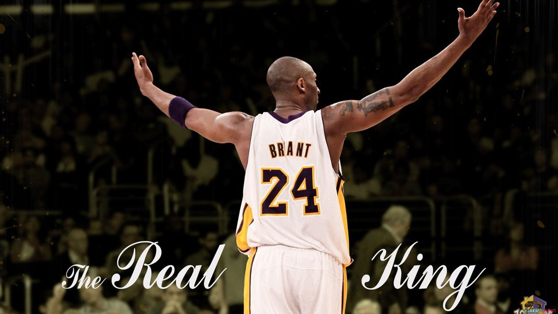 世界跆拳道联合会年度总决赛收官 奖金创历史新高