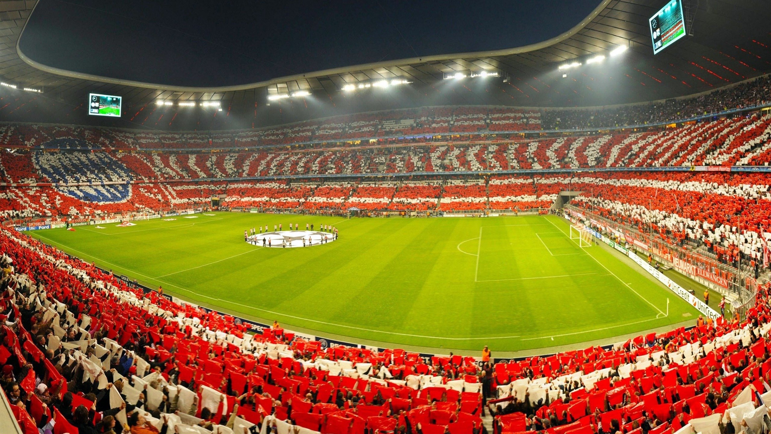 全国聋人游泳锦标赛 发令灯一亮即全力冲刺